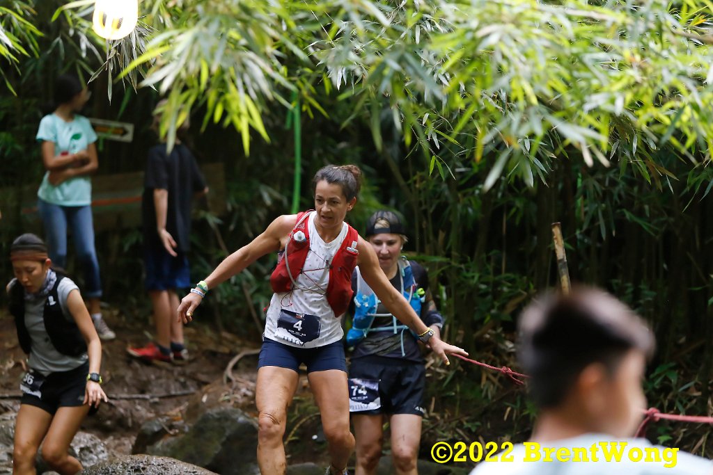_MG_4954_DxO