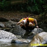 _MG_4915_DxO.jpg
