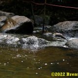 _MG_4990_DxO.jpg
